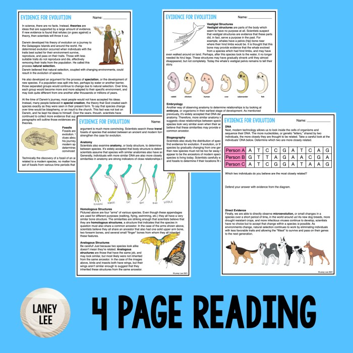 Evolution vocabulary worksheet answer key