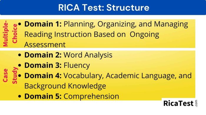 Rica subtest 3 practice test