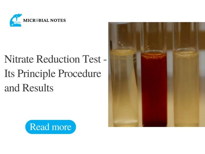 P aeruginosa nitrate reduction test