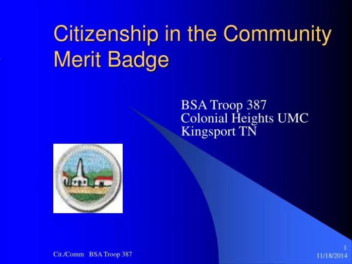 Citizenship community merit badge