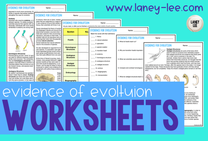 Evolution vocabulary worksheet answer key