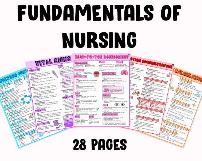 Study guide fundamentals of nursing pdf