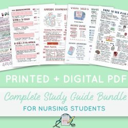 Study guide fundamentals of nursing pdf