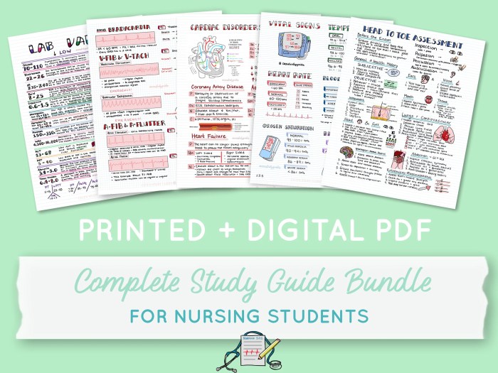 Study guide fundamentals of nursing pdf