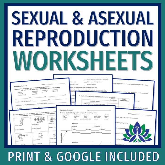 Sexual reproduction and meiosis answer key