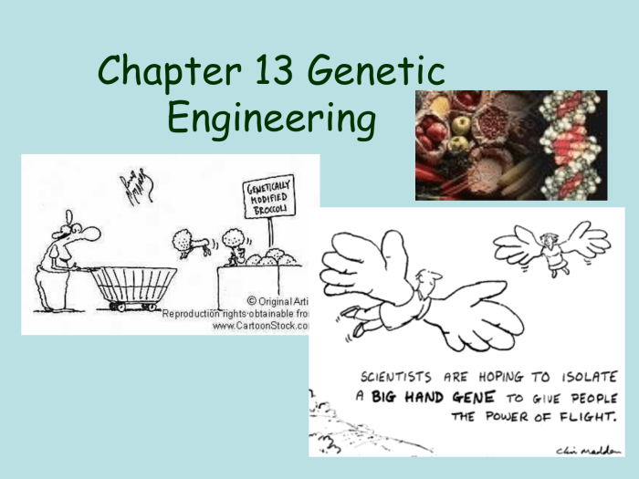 Chapter 13 genetic engineering vocabulary review