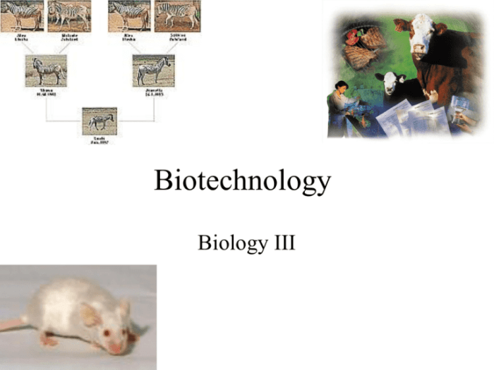 Chapter 13 genetic engineering vocabulary review