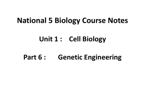 Chapter 13 genetic engineering vocabulary review