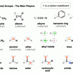 Functional groups organic chemistry identifying academy khan