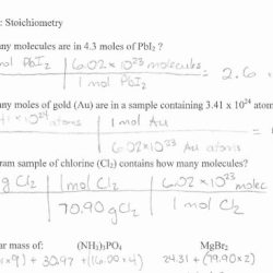 Density practice problem worksheet answers key