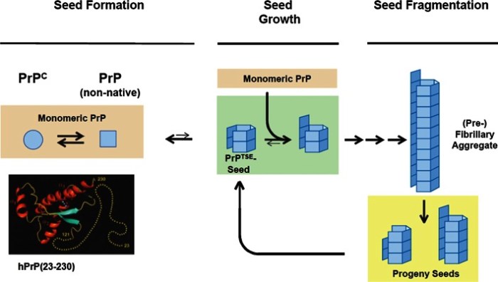 Mechanistic prediction particularly circumstances