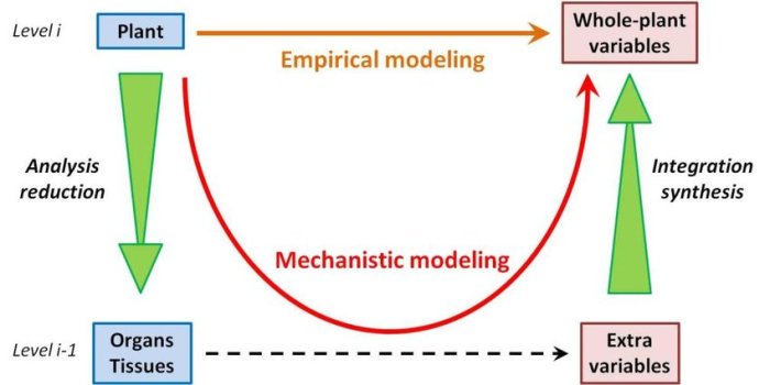 Doctors mechanistic model of the body may encourage them to