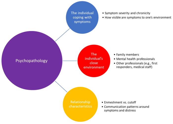 Psychopathology an integrative approach to mental disorders 9th edition