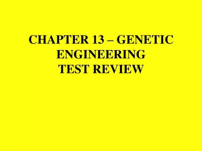 Chapter 13 genetic engineering vocabulary review