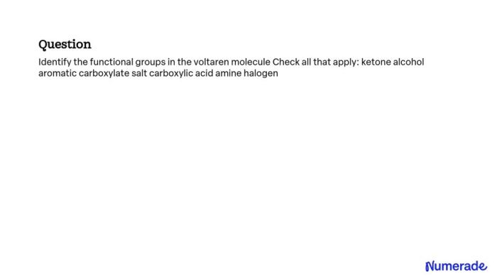 Functional groups following identify molecules circle each name chemistry